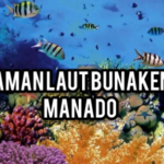 taman laut nasional bunaken